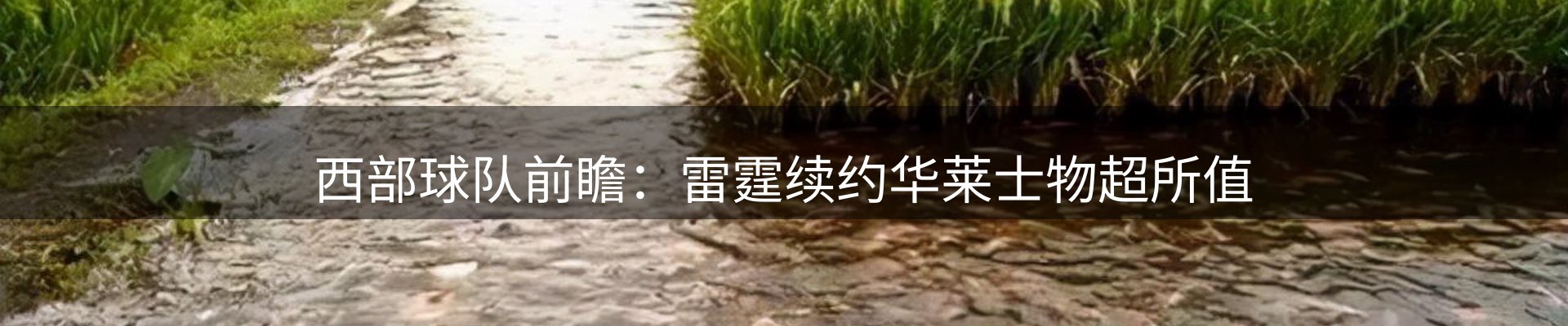 焦点选编