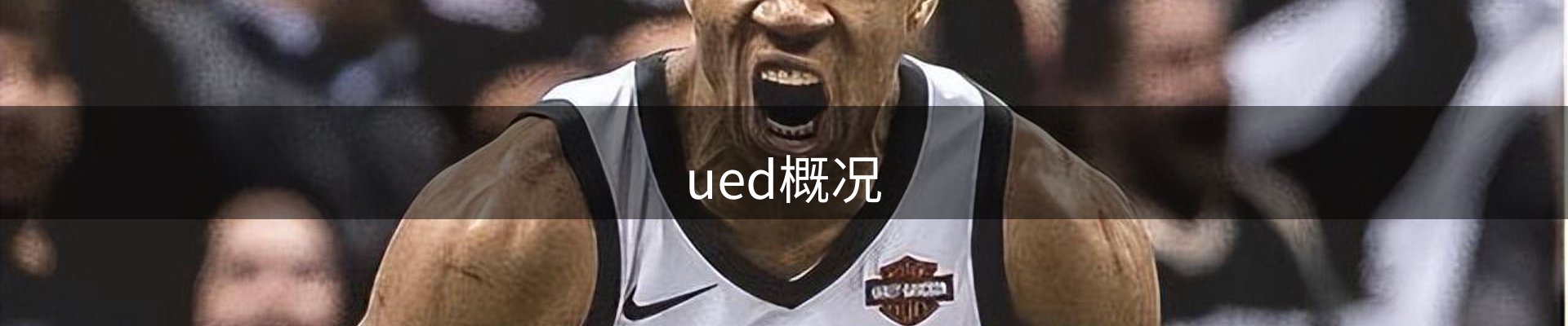 ued概况